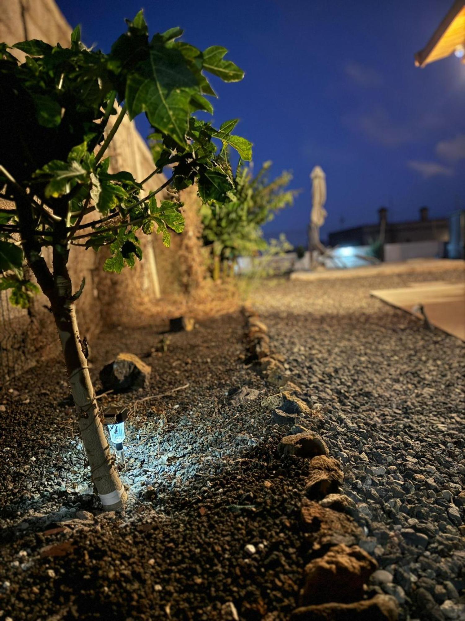 Finca El Atardecer سانتا كروز دي تينيريف المظهر الخارجي الصورة